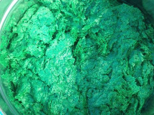 環(huán)氧玻璃鱗片膠泥選購(gòu)技巧？